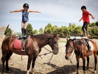  Mounted on horses