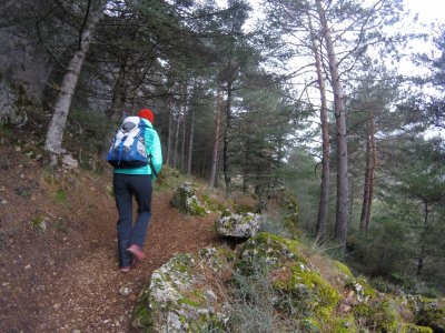 Senderismo por Málaga con transporte