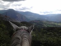 Paseo a caballo por Pla de Corts de 1 día