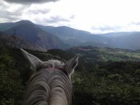 À cheval à travers le Pla de Corts 