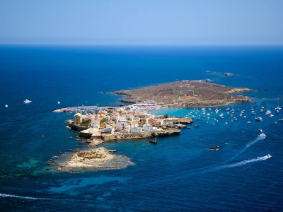 Hacer snorkel en Isla Tabarca para adultos 3 horas