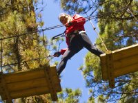 Circuit forestier dans les îles Canaries 