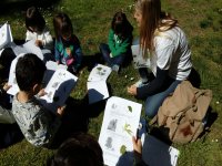 Gymkana en el Parque del Retiro