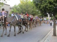  Una passeggiata per la città 