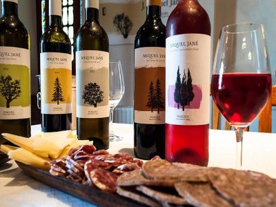 Curso de viticultura enología y cata en inglés