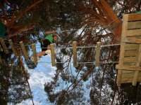  Avventura tra gli alberi 