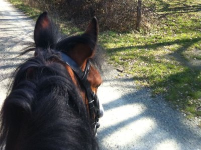 Hípica Doble A Lizaso Rutas a Caballo