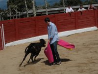 Organizar capeas en Sevilla