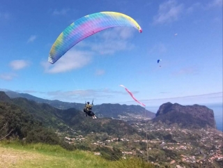 Madeira Wings