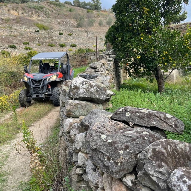  Buggy around Oporto 