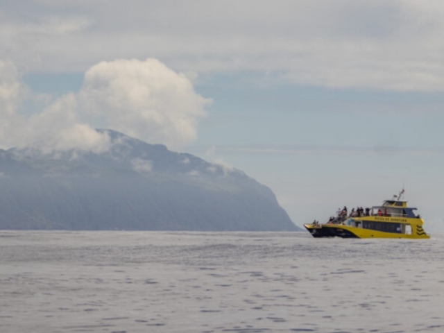  Sulla barca per l'avvistamento 