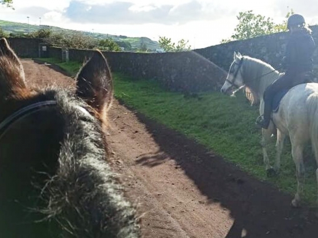  Godersi il percorso a cavallo attraverso Sao Miguel 