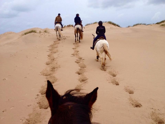 Dando un paseo por la playa en Portugal