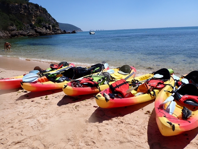 Les kayaks sur le rivage 