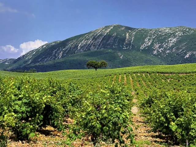  Serra de Arrábida 