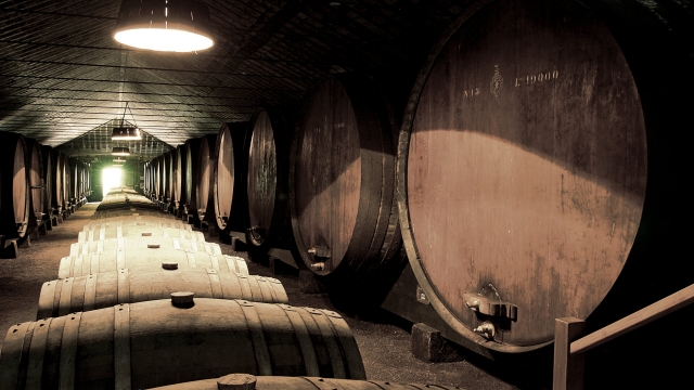 Bodega de vino para el tour en 4x4