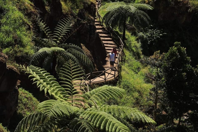  Geführte Tour auf der Insel Sao Miguel - 999 – Besuch von Lagoa do Fogo