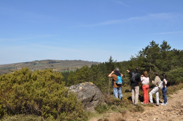  observation des paysages incroyables 