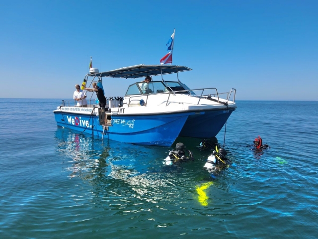  navigazione verso l'immersione 