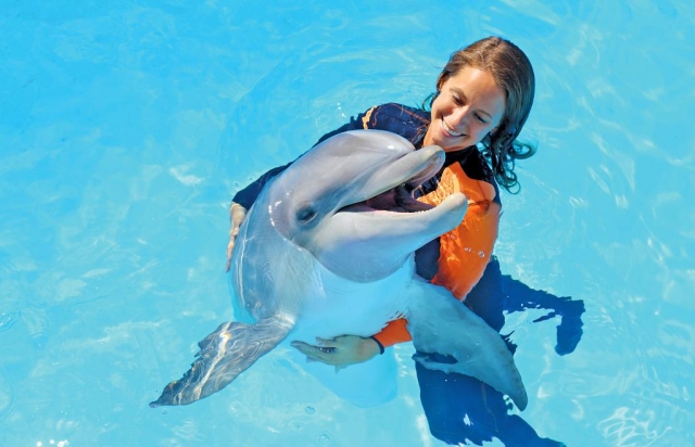 Con los delfines