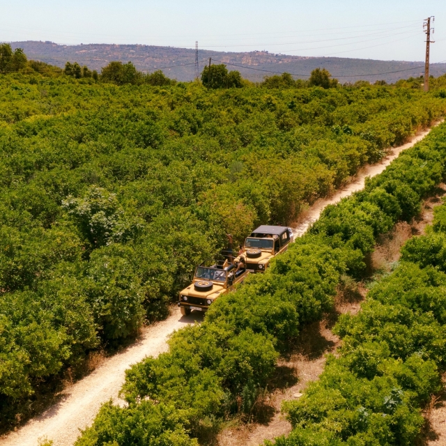  Einfahrt in die Algarve 