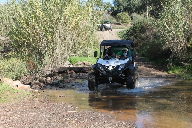 Excursión con el buggy