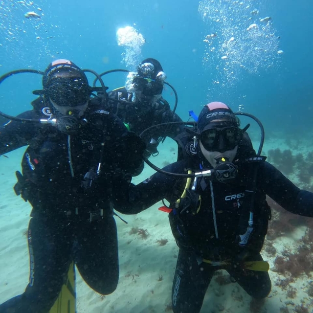  Learning to dive in Arrábida 