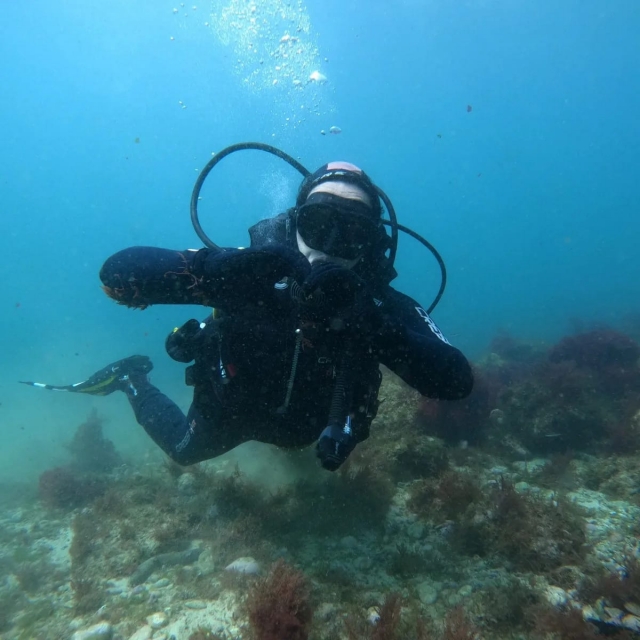  Diving first in Arrábida 