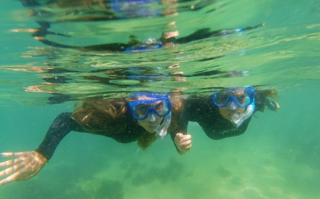  Diving and snorkeling in Portugal 