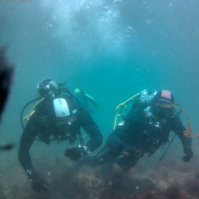  Diving baptism in Luiz Saldanha Natural Park 