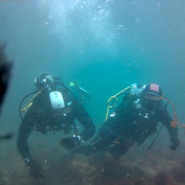  Diving in Sesimbra 