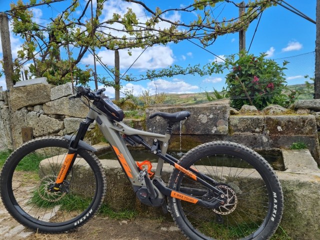  Mountain bike 