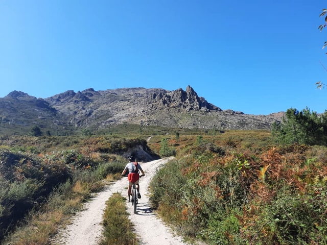  Bike excursion 