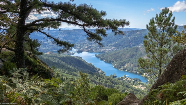 Portuguese landscape 
