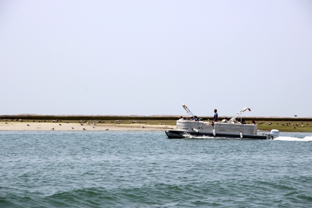  Godersi la barca giro 