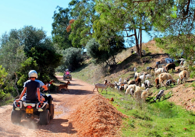  Route through the Algarve 
