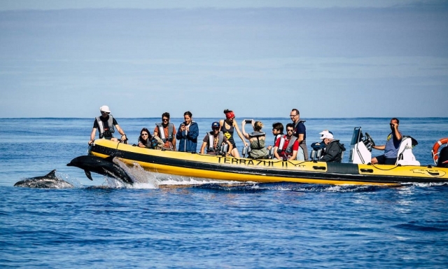 e-19763486-avistamiento-de-delfines-de-cerca165694101216569415132237.jpg