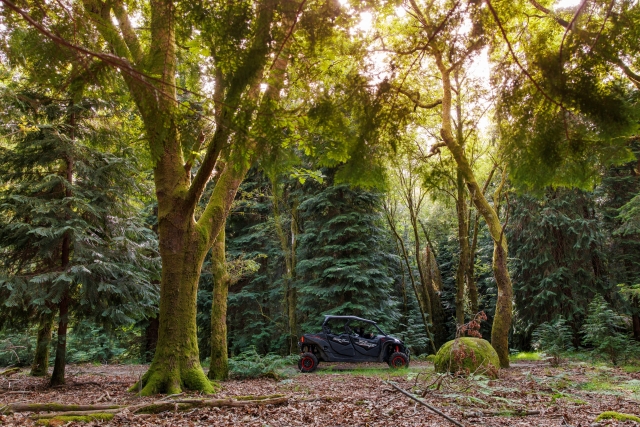  Beeindruckender Panoramablick auf die Landschaft -99 9 - Unsere Instruktoren begleiten Sie auf der Tour 