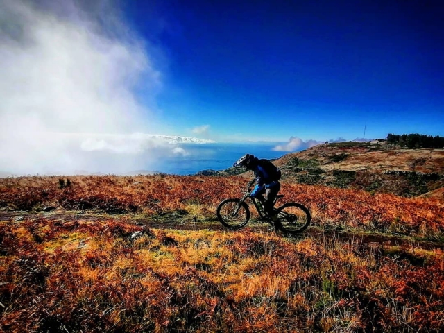  Enjoying the day on a mountain bike 