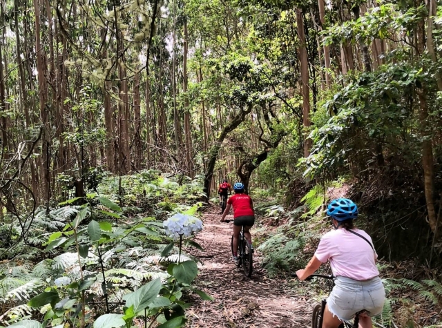  Mountain bike excursion 
