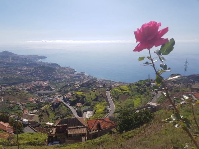  Landscape of the island 