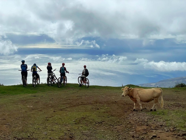  Landscape of Madeira 