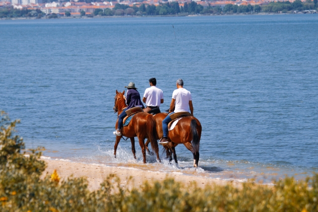  Reiten am Meer 