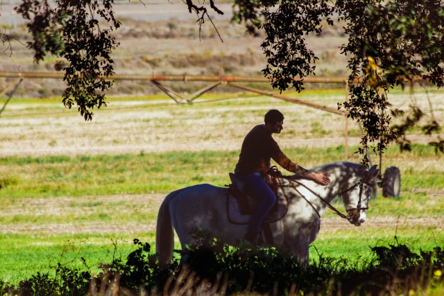  Reiten 