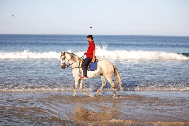  Reiten