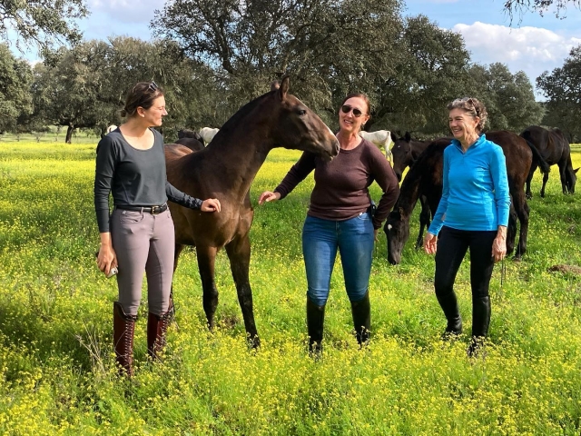  Reiten 