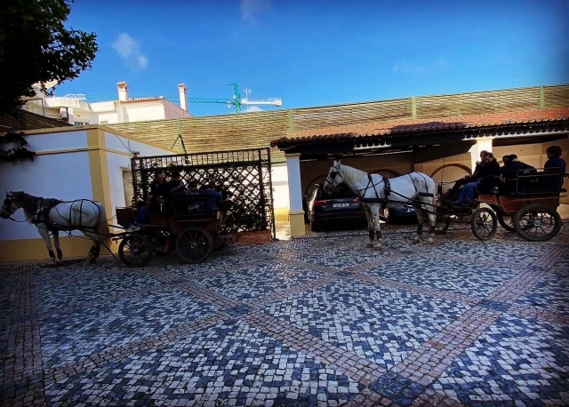  Promenades à cheval et en calèche