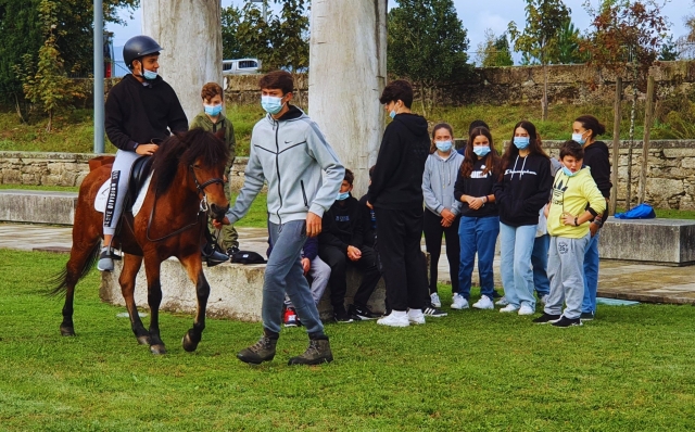 Experiencias con caballos