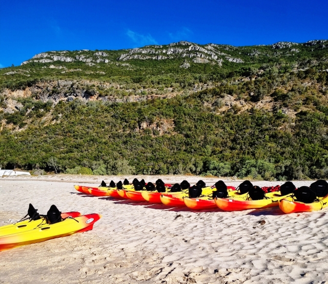 Squadre di kayak preparate 