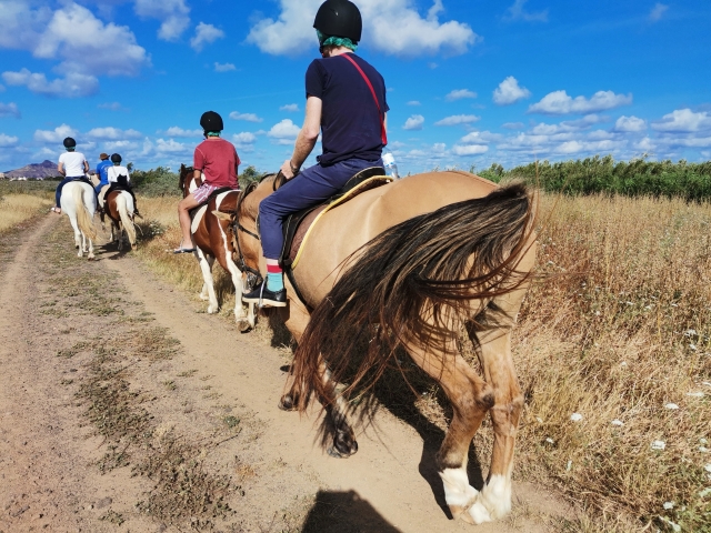 Organizamos ruta a caballo para grupos de diferentes edades y niveles